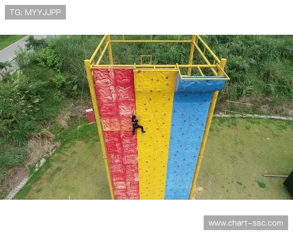 订阅制健身服务兴起，满足个性化需求